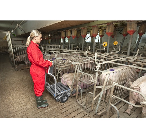 Porky's Pick Up XL trolley