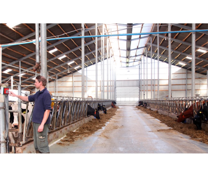 Low pressure cooling system