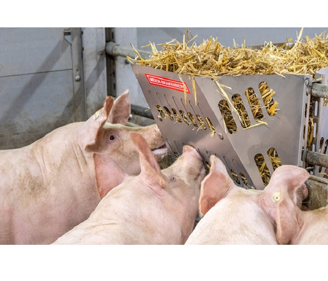 Swine troughs - Porky