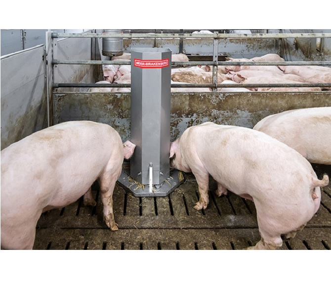 Porky's strawtomat – straw feeding