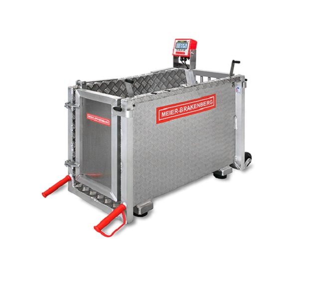 Animal scales - special designs