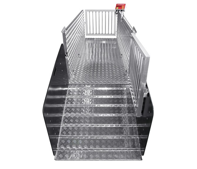 Animal scales - special designs