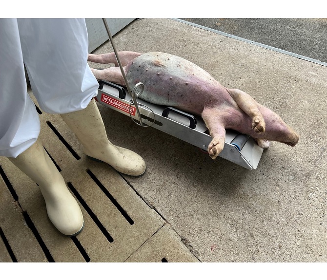 Transporker platform